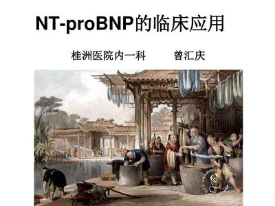 N末端B型鈉尿肽前體的臨床應(yīng)用